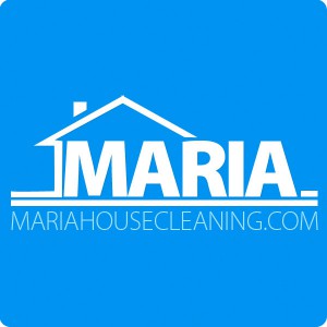 Cleaning company logo